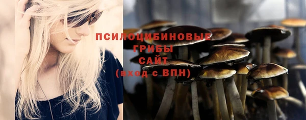 бутират Осинники