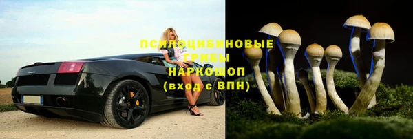 бутират Осинники