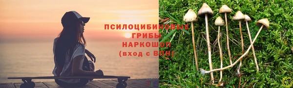 стафф Гусиноозёрск