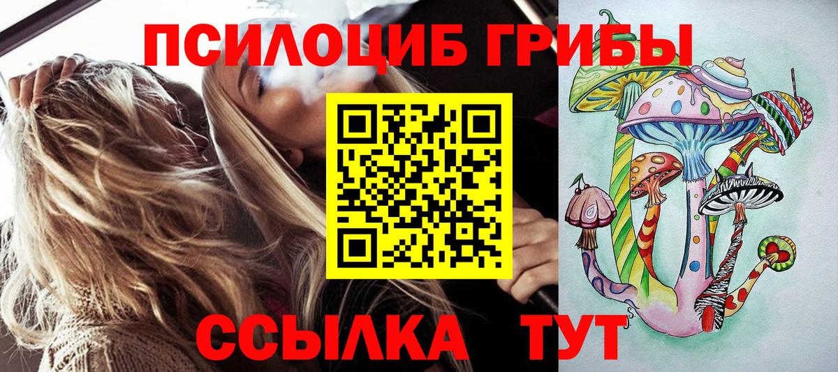 Псилоцибиновые грибы прущие грибы Апатиты